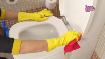 Pequeños Amos de Casa - Imagen Pequeña Web - Limpiar WC